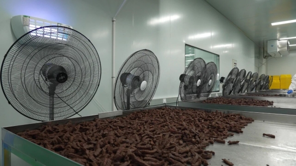 開發(fā)區(qū)肉牛產(chǎn)品 以“?！逼焚|(zhì)征服全國市場(chǎng)